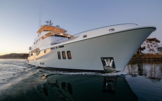 VIVIERAE II
