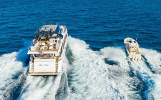 SEA OWL 32