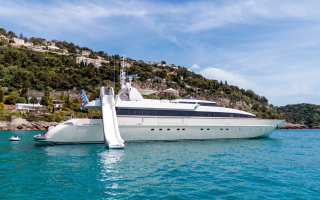 HEMILEA 20