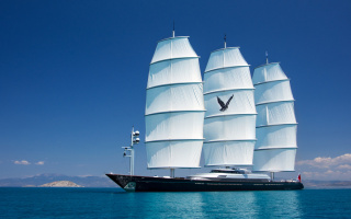 MALTESE FALCON 23