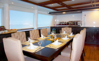 CORMORANT 6
