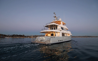 VIVIERAE II 2