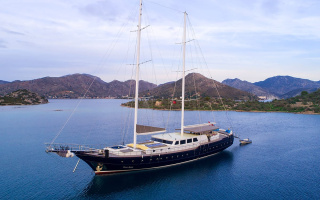 NEVRA QUEEN 24