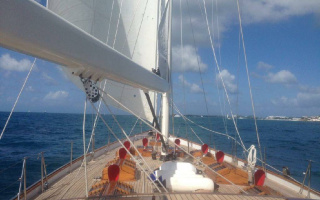 NORTHERN STAR 4