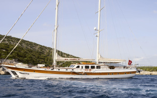 CANER IV