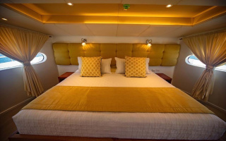 GRAND DAPHNE 13