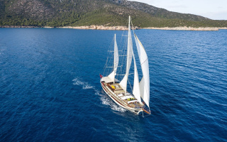 ESTRELLA DE MAR