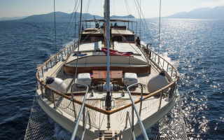 ERATO 7