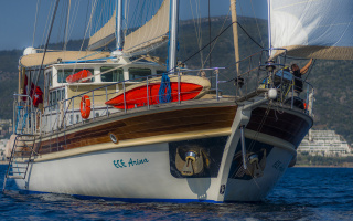 ECE ARINA 3