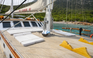 CANER IV 7