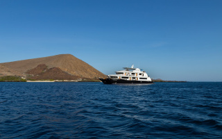 PETREL 2