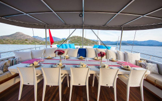 NEVRA QUEEN 12