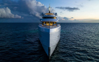 CALEX 51