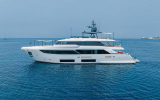 DIANA II 49
