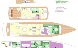 LADYSHIP 20