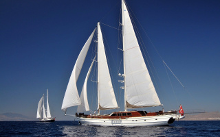 HIC SALTA