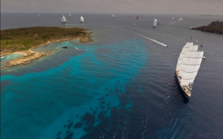 MALTESE FALCON 22