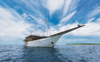 OCEAN PURE 1 21