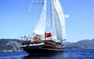 NURTEN A