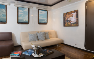 CORMORANT 10