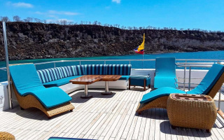 GRAND DAPHNE 3