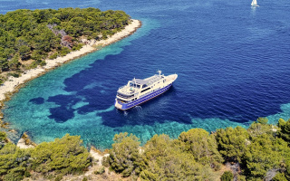 LUPUS MARE 23