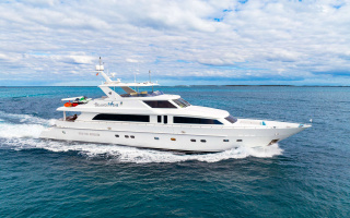 BRANDI WINE 42