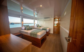 GRAND DAPHNE 12