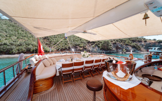 LYCIAN QUEEN 14
