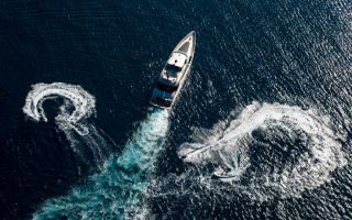 PANDION 21