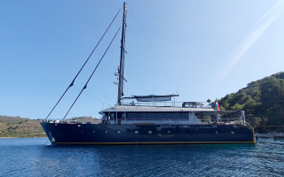 RARA AVIS 23