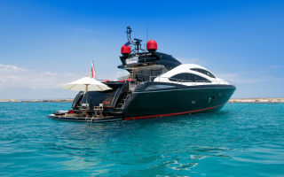 PALUMBA 44