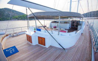 NEVRA QUEEN 10