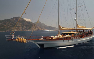 ARABELLA 24
