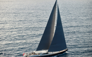 GUILLEMOT