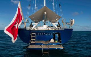 FARFALLA 4