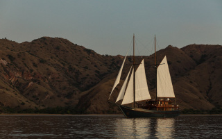 VELA