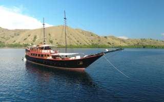 SAMATA 19
