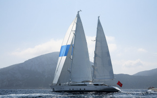 ROSEHEARTY 12