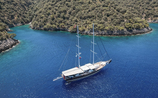 TARKAN 5 3