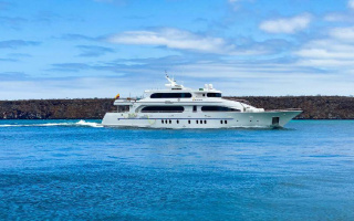 GRAND DAPHNE 17