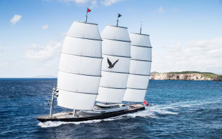 MALTESE FALCON 2