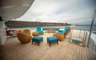 GRAND DAPHNE 6