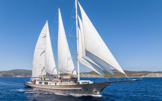 THE LANGLEY 24