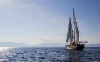 ERATO 24