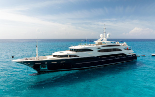 VISION 50
