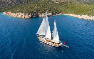ESTRELLA DE MAR 17