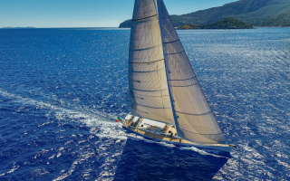 ARIA 20