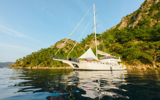 BELGIN SULTAN 2