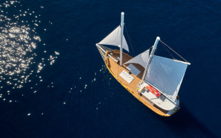 GREEN RAY 21